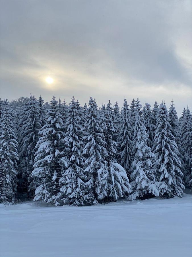 Durmitorska Kuca Villa Žabljak Buitenkant foto